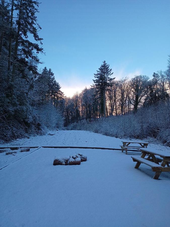 The West Wing At Eriviat Hall Hot Tub Henllan  외부 사진
