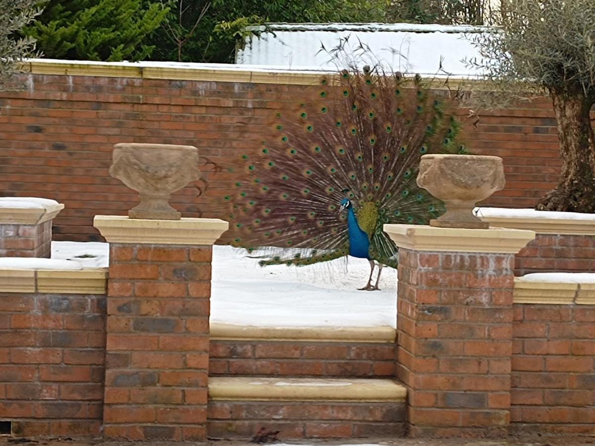 The West Wing At Eriviat Hall Hot Tub Henllan  외부 사진