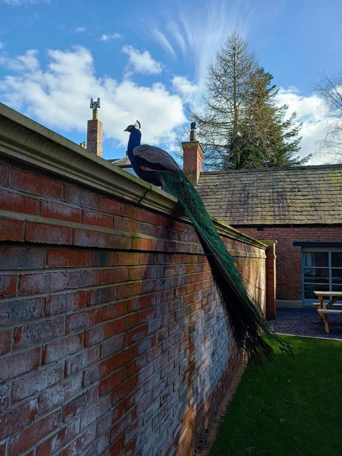 The West Wing At Eriviat Hall Hot Tub Henllan  외부 사진
